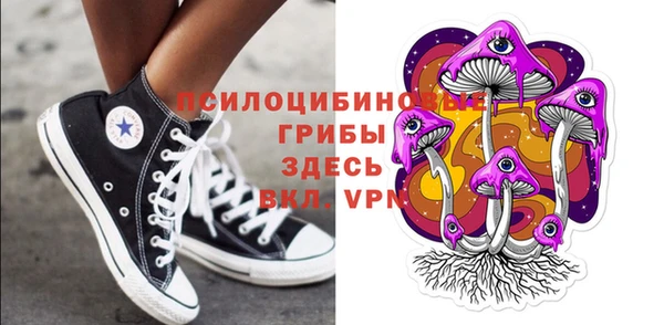 кокс Инсар