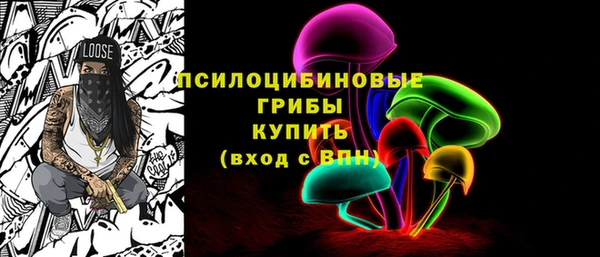 кокс Инсар