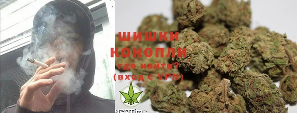 кокс Инсар