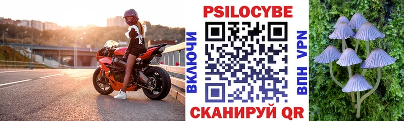 Купить  Кызыл  Галлюциногенные грибы мухоморы 